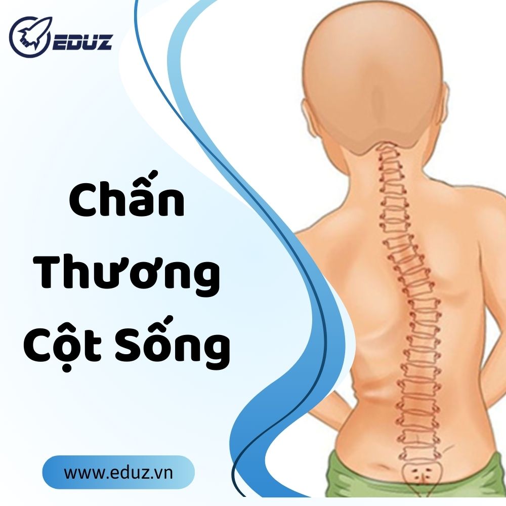 Sơ Cứu Ban Đầu Cho Trẻ Sơ Sinh Và Trẻ Em : Chấn Thương Cột Sống